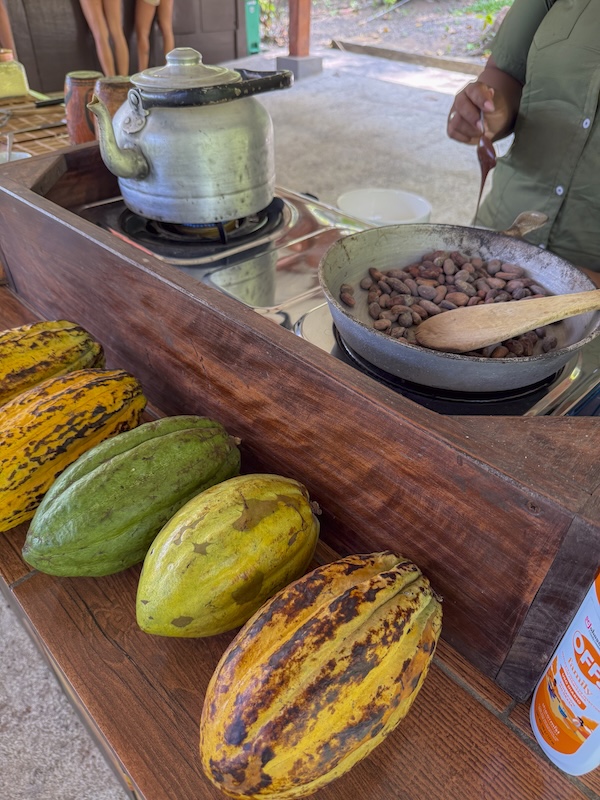 Ruta del cacao en Costa Rica